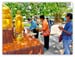 songkran64 (81)